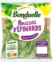 Pousses d'Épinards