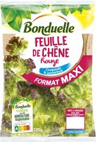 Feuille de Chêne Rouge