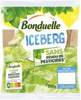 Iceberg sans résidu de pesticides