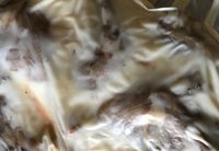 Confit De Canard