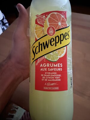 Pet 1,5L Schweppes Agrumes