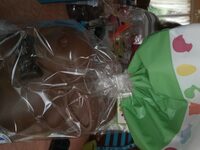 Lapin chocolat