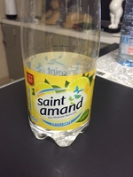 St Amand Eau Minérale Naturelle pétillante aromatisée CITRON 50CL