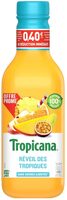 Tropicana Réveil des tropiques
