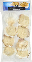 Coquilles saint-jacques*