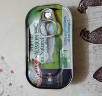 Filet de saumon bio au naturel