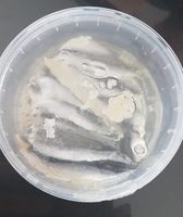 Filets d anchois marinés à l'ail