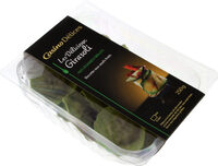 GIRASOLI aux légumes grillés