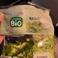 Salade batavia bio