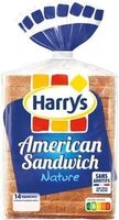 American Sandwich Nature