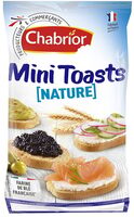 Mini toasts nature