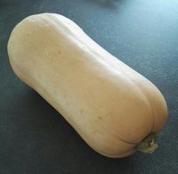 Courge Butternut