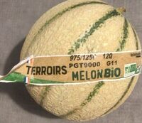 Melon