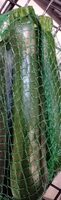Courgettes