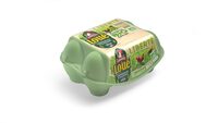6 oeufs fermiers bio de