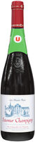 Vin rouge AOP Saumur Champigny Les Hauts Buis 75cl
