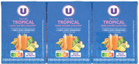 Nectar tropical riche en fruits brique 6 briques de 20cl