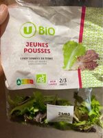 Jeunes pousses de laitue verte et rouge - Sachet 100g