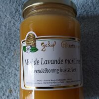 Miel de lavande maritime