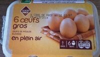 Gros oeufs plein air