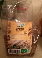 Graines de lin brun