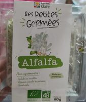 Les petites germée - Alfafa