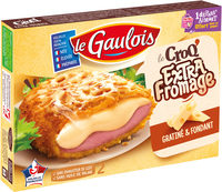 Croq extra fromage x2