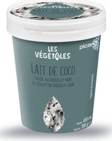 Glace lait de coco, sauce au chocolat noir et éclats de chocolat noir