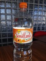 Sémillante Abricot