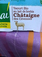 Yaourt au lait de brebis Chataigne des Cevennes