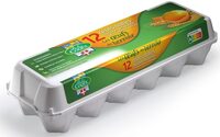Oeufs datés du jour de ponte