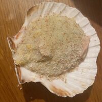 Coquilles st jacques fruits de mer