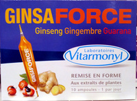 GinsaForce Ginseng Gingembre Guarana Remise en Forme