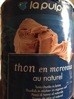 Thon En Morceaux Au Naturel