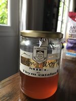 Miel de thym catalan
