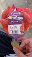 Echalote Traditionnelle