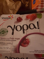 Recette au yaourt nature, sur lit de fruits rouges