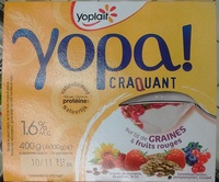 Yopa! Craquant sur lit de graines & fruits rouges (1,6% MG)