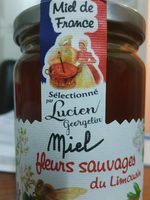 Miel fleurs sauvages du limousin
