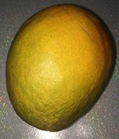 Mangue