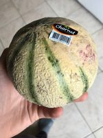 Melon