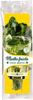 Menthe fraîche pour Mojito