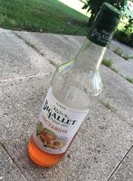 Bigallet Nectarine