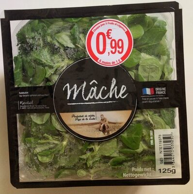 Mâche
