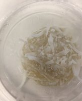 Perle de coco