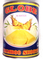 Bamboo shoots in water