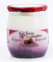 Yaourt fruits des bois