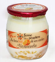 Yaourt maigre mandarine