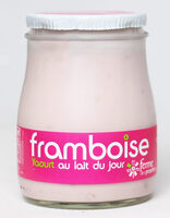 Framboise Yaourt au lait du jour