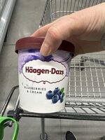 Blueberry Ice Cream